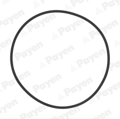 Tihendikomplekt, silindrihülss PAYEN HL5383