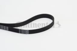 Soonrihm CONTINENTAL CTAM 6PK1642
