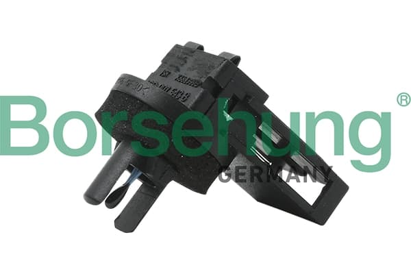 Andur, salongitemperatuur Borsehung B11446