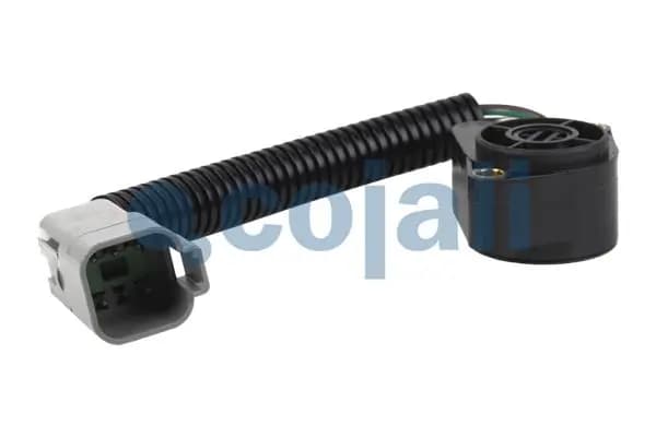 Andur, sõidupedaaliasend COJALI 2260209