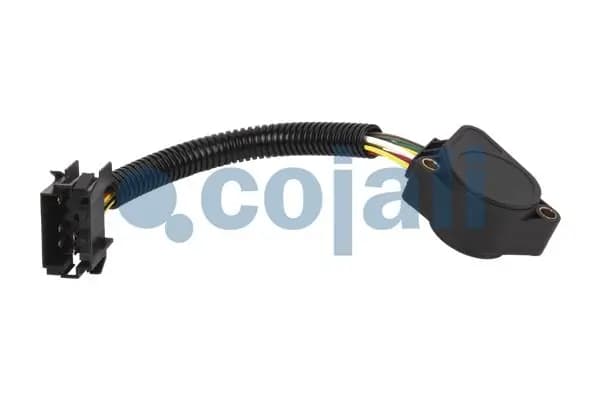 Andur, sõidupedaaliasend COJALI 2260369