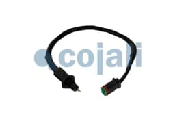 Andur COJALI 2263013
