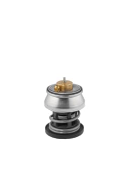 Termostaat, Jahutusvedelik BorgWarner (Wahler) 412253.88D